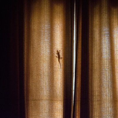 Photo Curtain samples