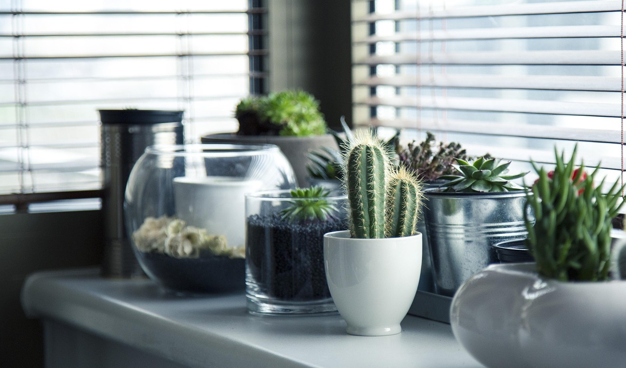 Kleine venstertuin met groene kruidenpotten. Kleine venstertuin met groene kruidenpotten.