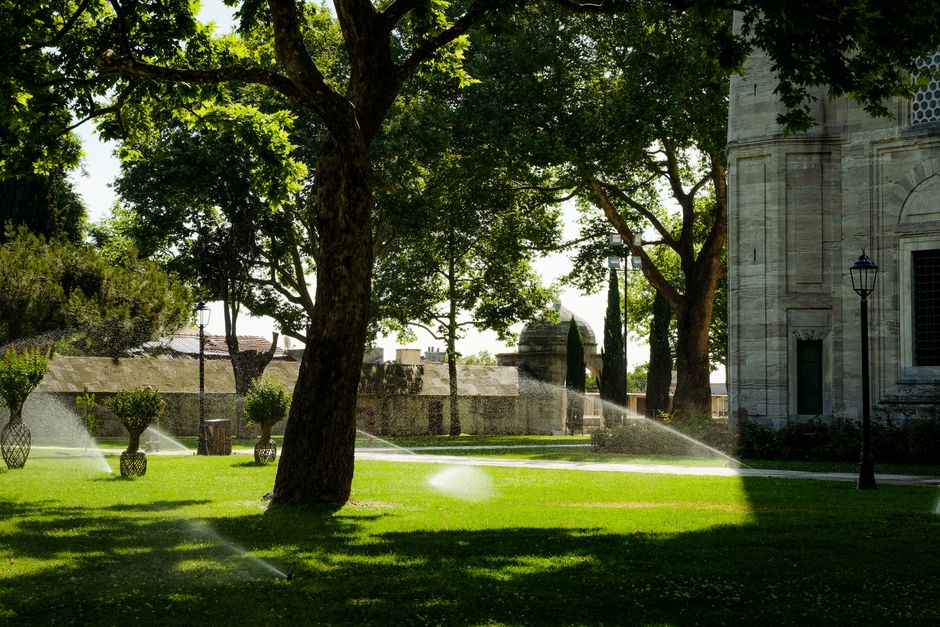 App toont waterbesparende sprinklerinstellingen op smartphone. App toont waterbesparende sprinklerinstellingen op smartphone.
