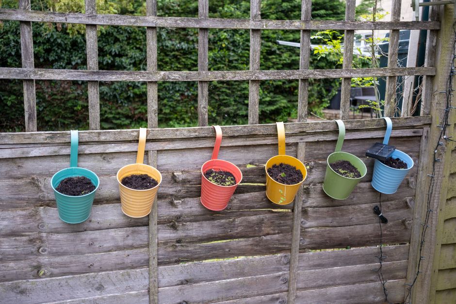 Diverse kruidenplanten in verticale tuininstallatie.