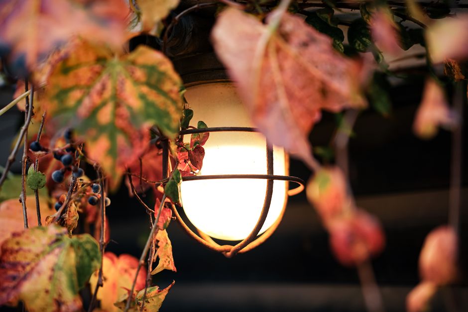 Decoratieve lampen met sterren bij avondschemering.